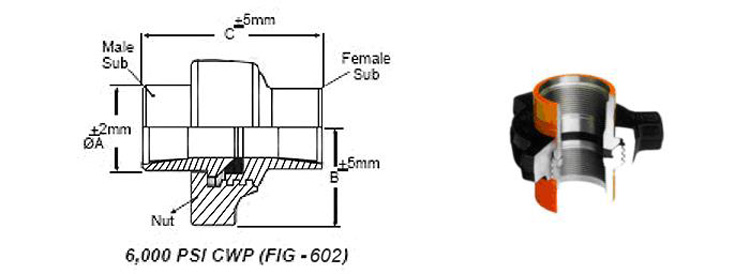 Hammer Union Fig 602 Structure