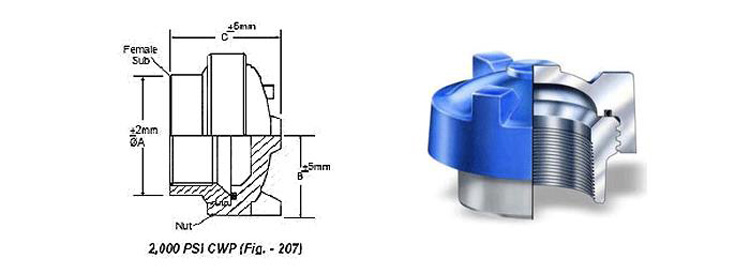 Hammer Union Fig 207 Structure