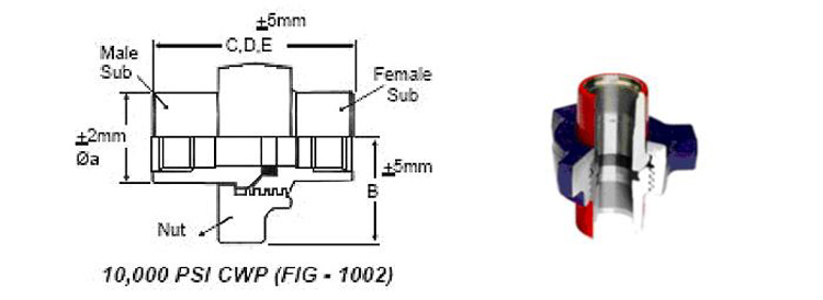 Hammer Union Fig 1002 Structure